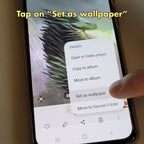 Wild Dragon Phone Screensaver
