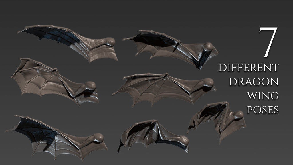 Over 500 3D assets to create dragons in Zbrush