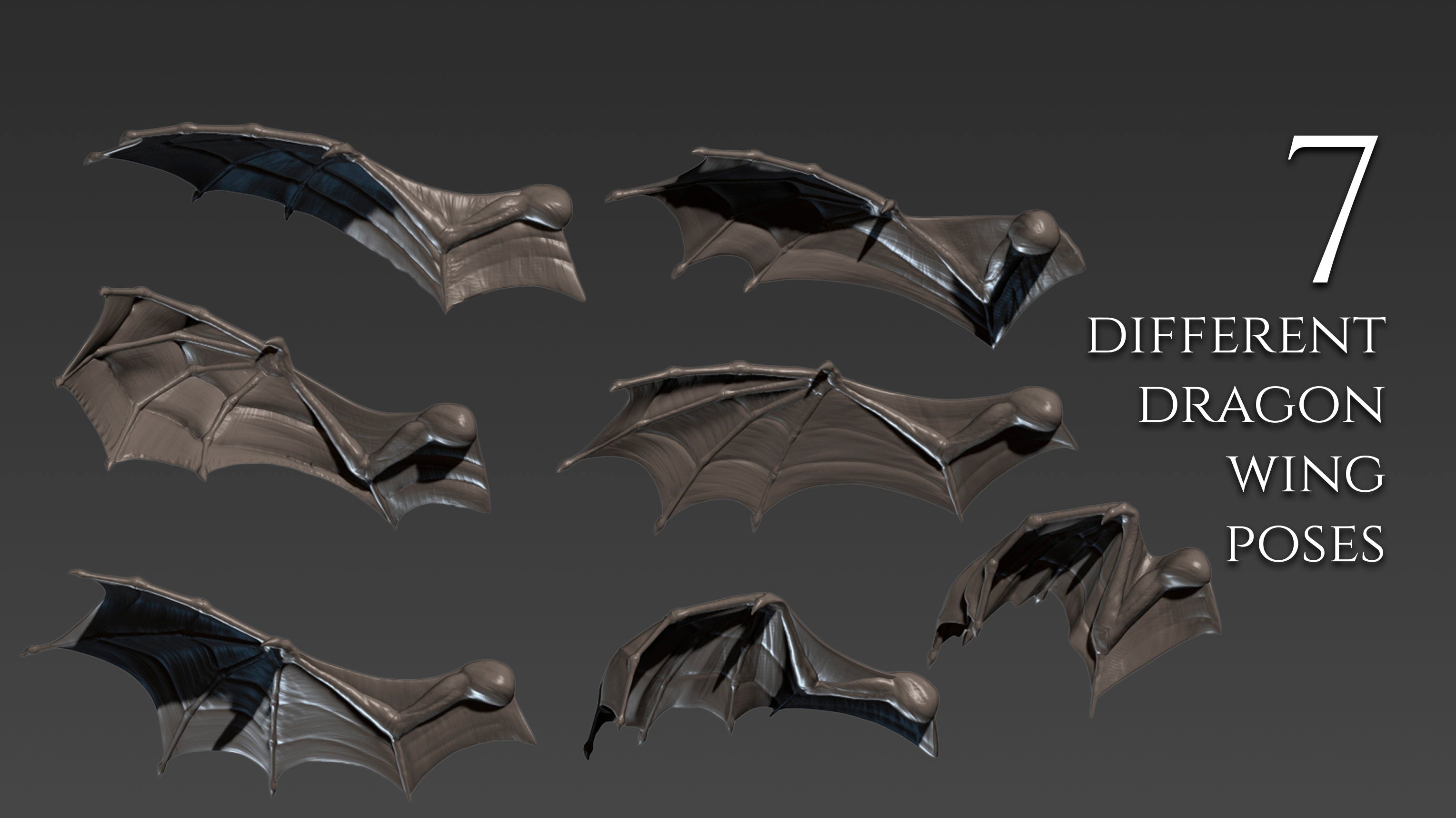 Over 500 3D assets to create dragons in Zbrush