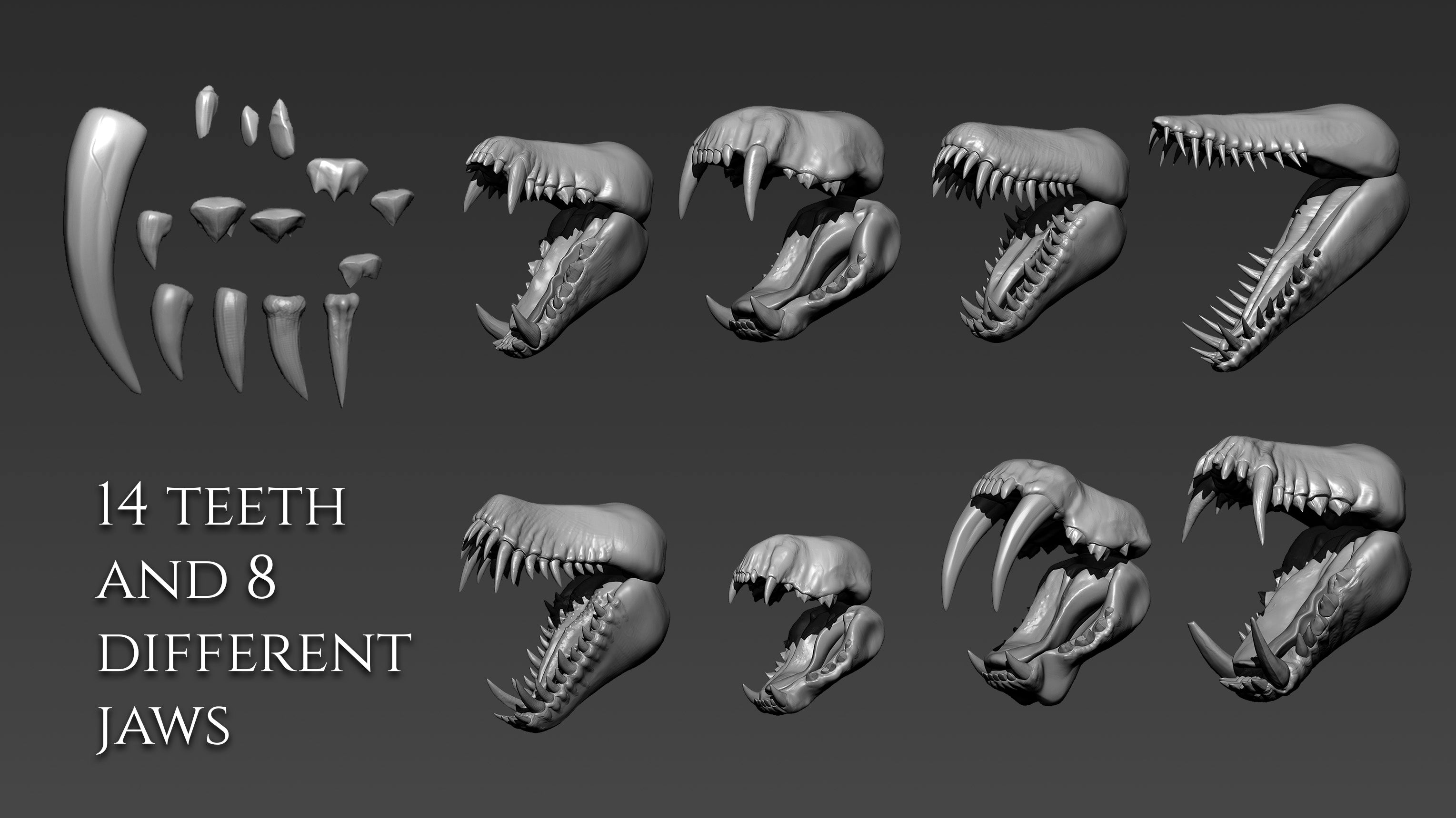 Over 500 3D assets to create dragons in Zbrush
