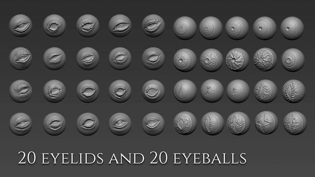 Over 500 3D assets to create dragons in Zbrush