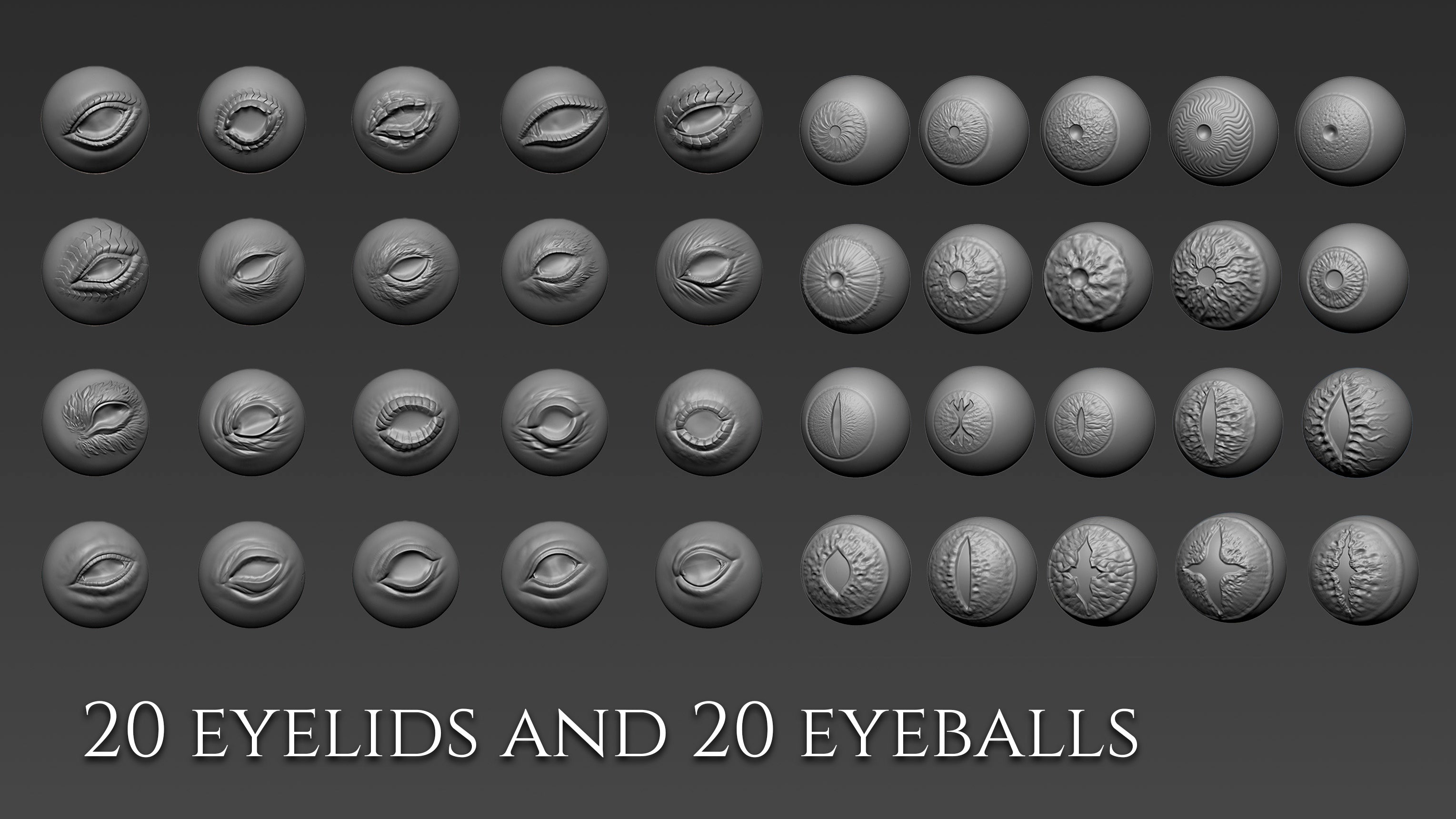 Over 500 3D assets to create dragons in Zbrush