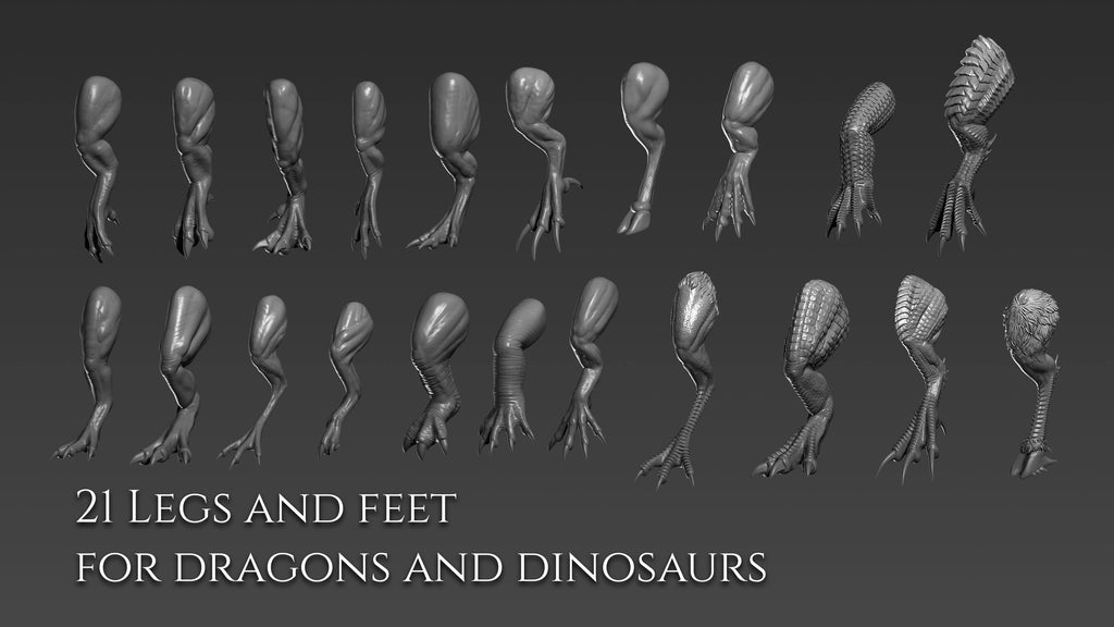 Over 500 3D assets to create dragons in Zbrush