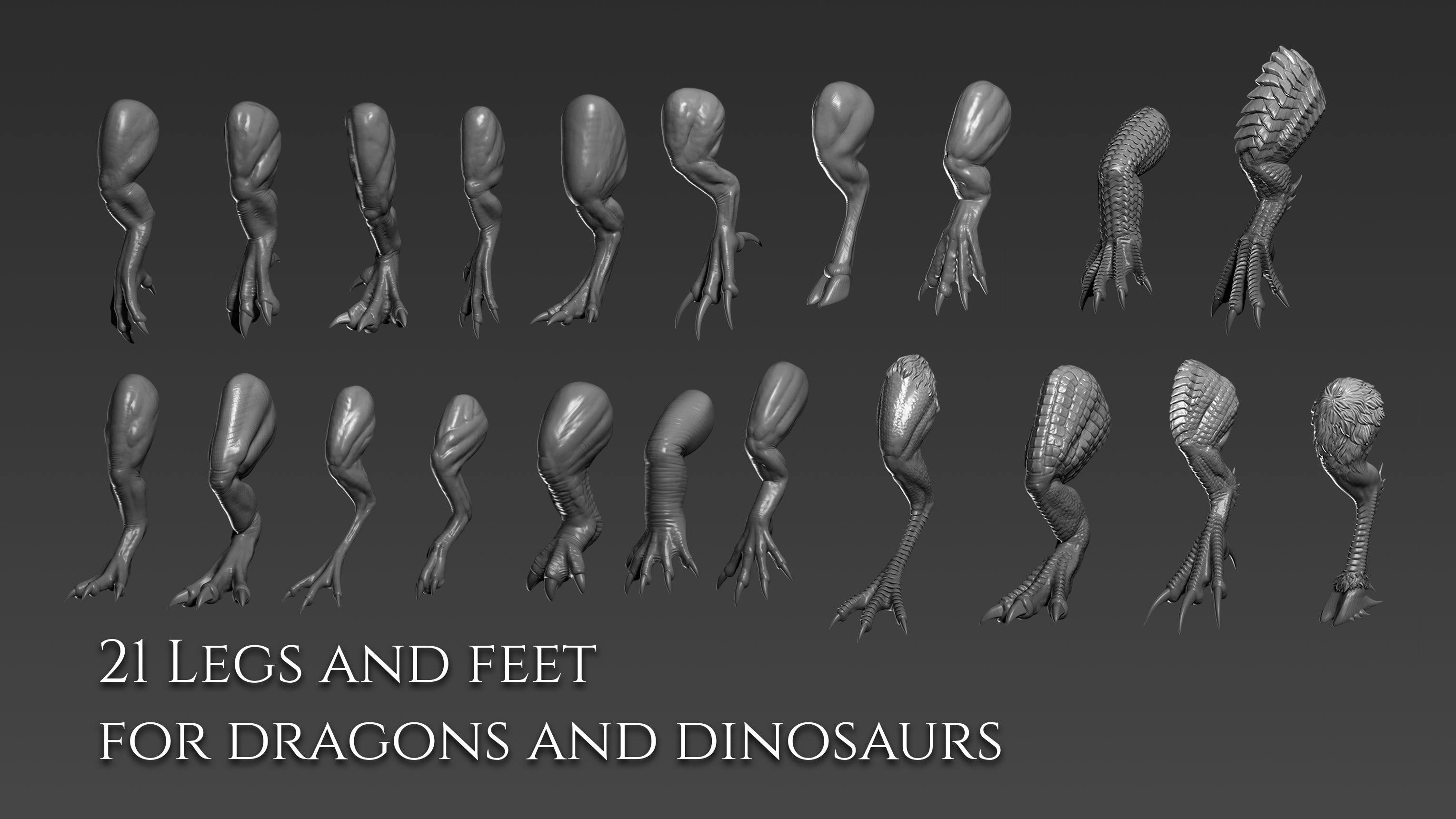 Over 500 3D assets to create dragons in Zbrush