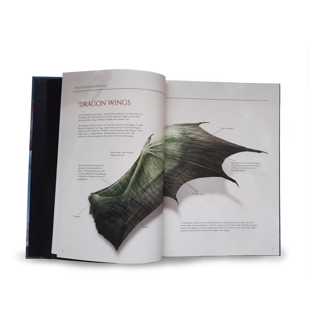 Into the Territory of Dragons | Art book