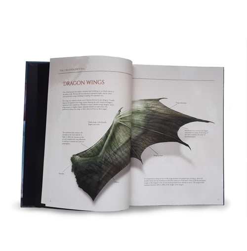 Into the Territory of Dragons | Art book